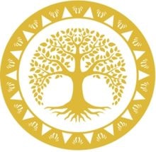 Shaheed Udham Singh Group Of Institutions